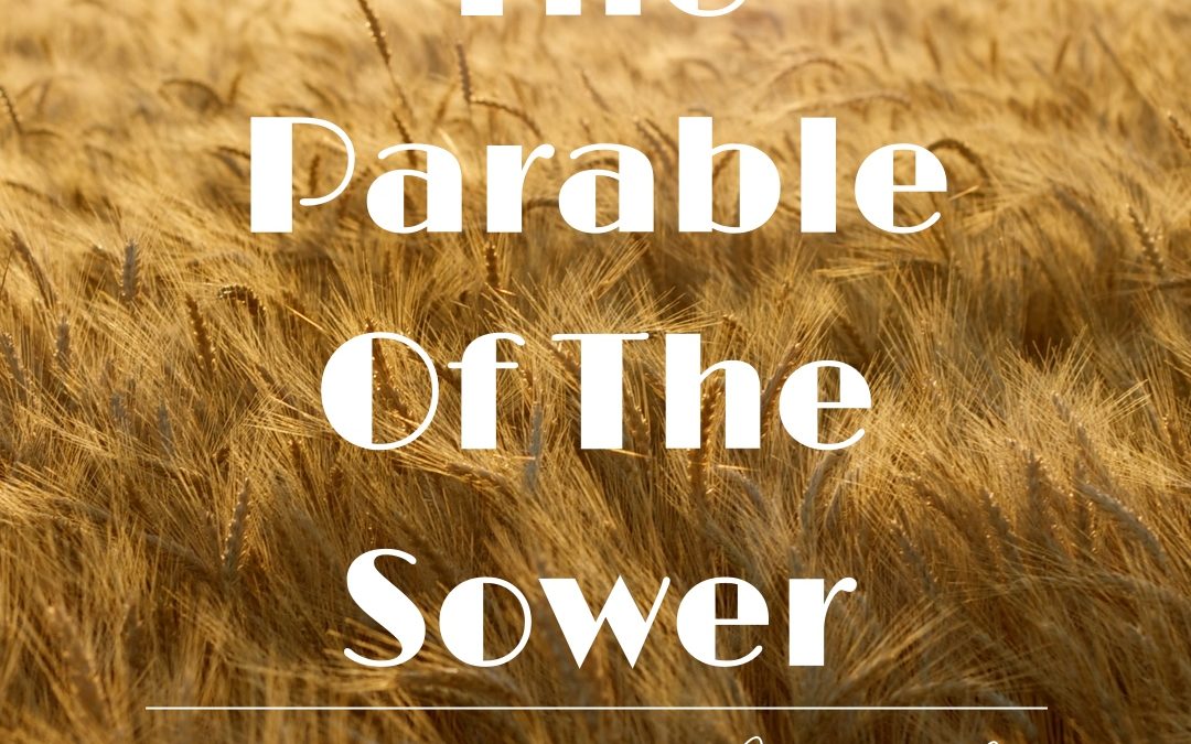 Before The Foundation – The Parable Of The Sower Part 4